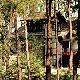 南岸黃山蔣介石官邸天氣
