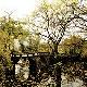 沙坪壩峨嶺公園天氣