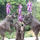 貴陽森林野生動物園天氣