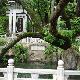 大理蝴蝶泉公園天氣