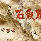 江川界魚石天氣
