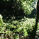保山小黑山天氣