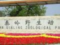 西安秦嶺野生動物園天氣