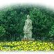 西安植物園天氣