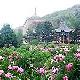 延安萬花山天氣