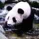 漢中佛坪大熊貓保護區(qū)天氣