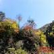 安康千家坪公園天氣