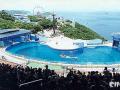 香港海洋公園天氣